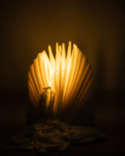 Load image into Gallery viewer, SCOVIA