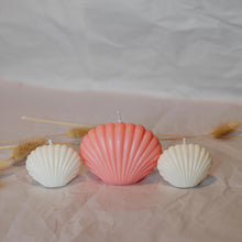 Load image into Gallery viewer, Shell Small