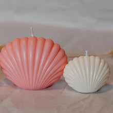 Load image into Gallery viewer, Shell Small