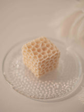 Load image into Gallery viewer, SPONGE