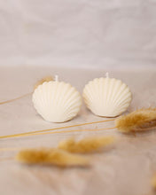 Load image into Gallery viewer, Shell Small