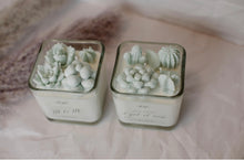 Load image into Gallery viewer, Cactus Succulent