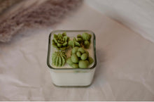 Load image into Gallery viewer, Cactus Succulent