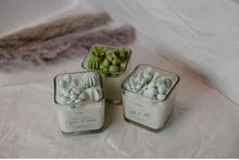 Load image into Gallery viewer, Cactus Succulent