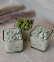 Load image into Gallery viewer, Cactus Succulent