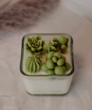 Load image into Gallery viewer, Cactus Succulent