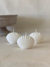 Load image into Gallery viewer, Shell XXL